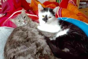 Emy & Kemy