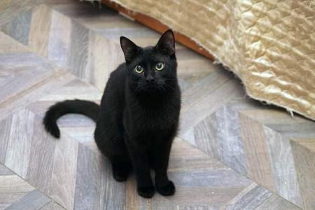 Tom