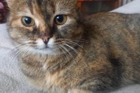 Mimi