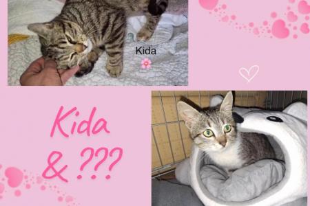 Kida & Tina