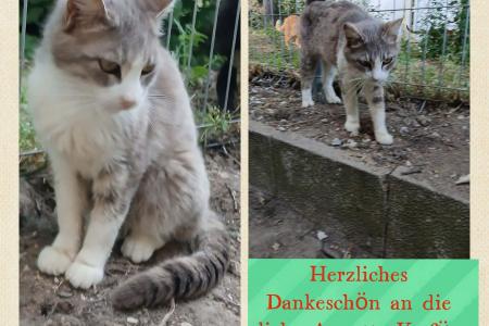 Goshka (von Neviana)
