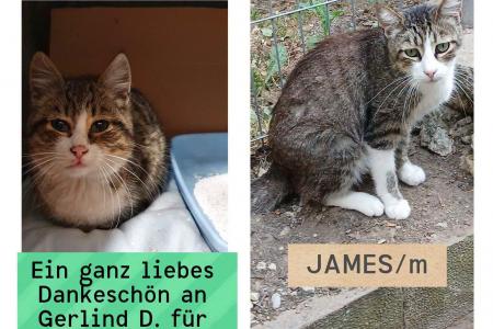 James (von Neviana)
