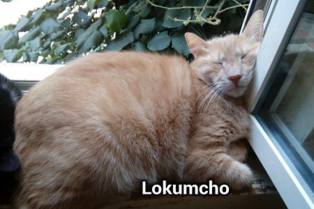 Lokumcho (Vesela)