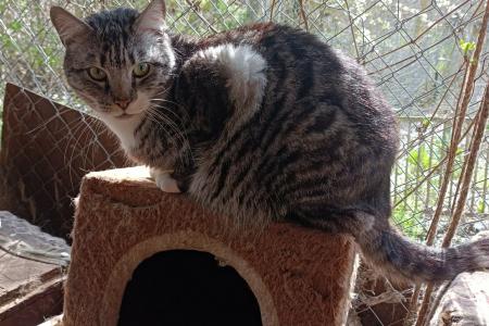 Gabi -reserviert-