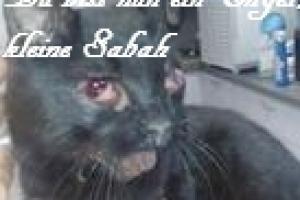 Sabah