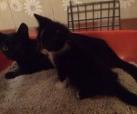 Mama Gina und Söhnchen Tom