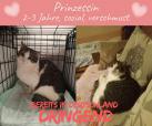 Prinzessin (in D)